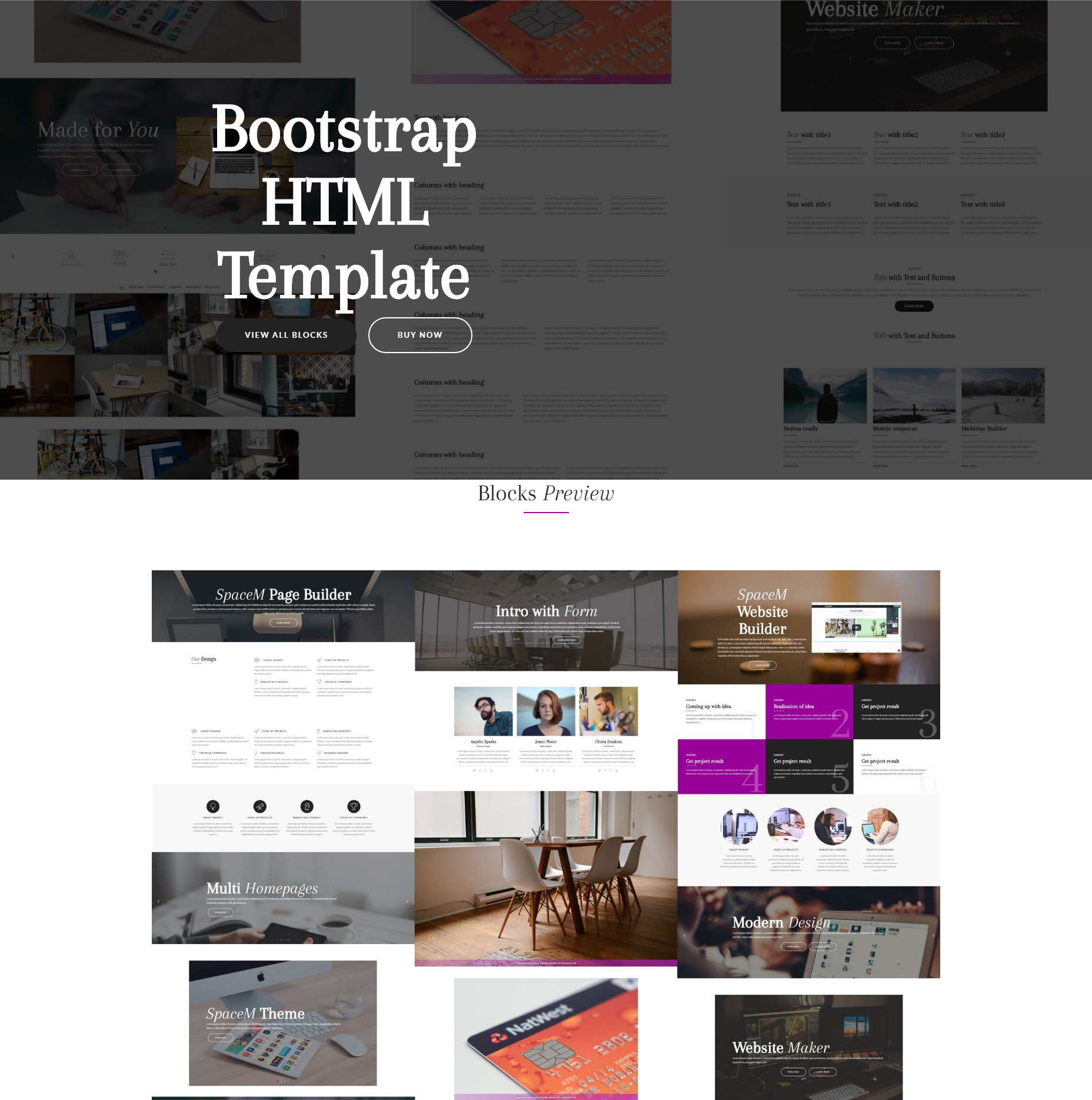 CSS3 Bootstrap SpaceM Templates