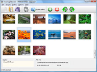 javascript vista effect popup Online Photoalbum With Html Widget